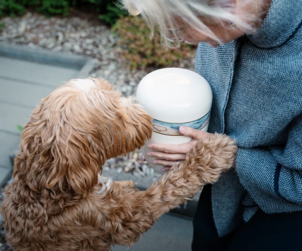 Home 21 afscheidshuis-vancleef-©-wolfish-91